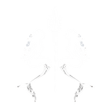 Club Hedo icon